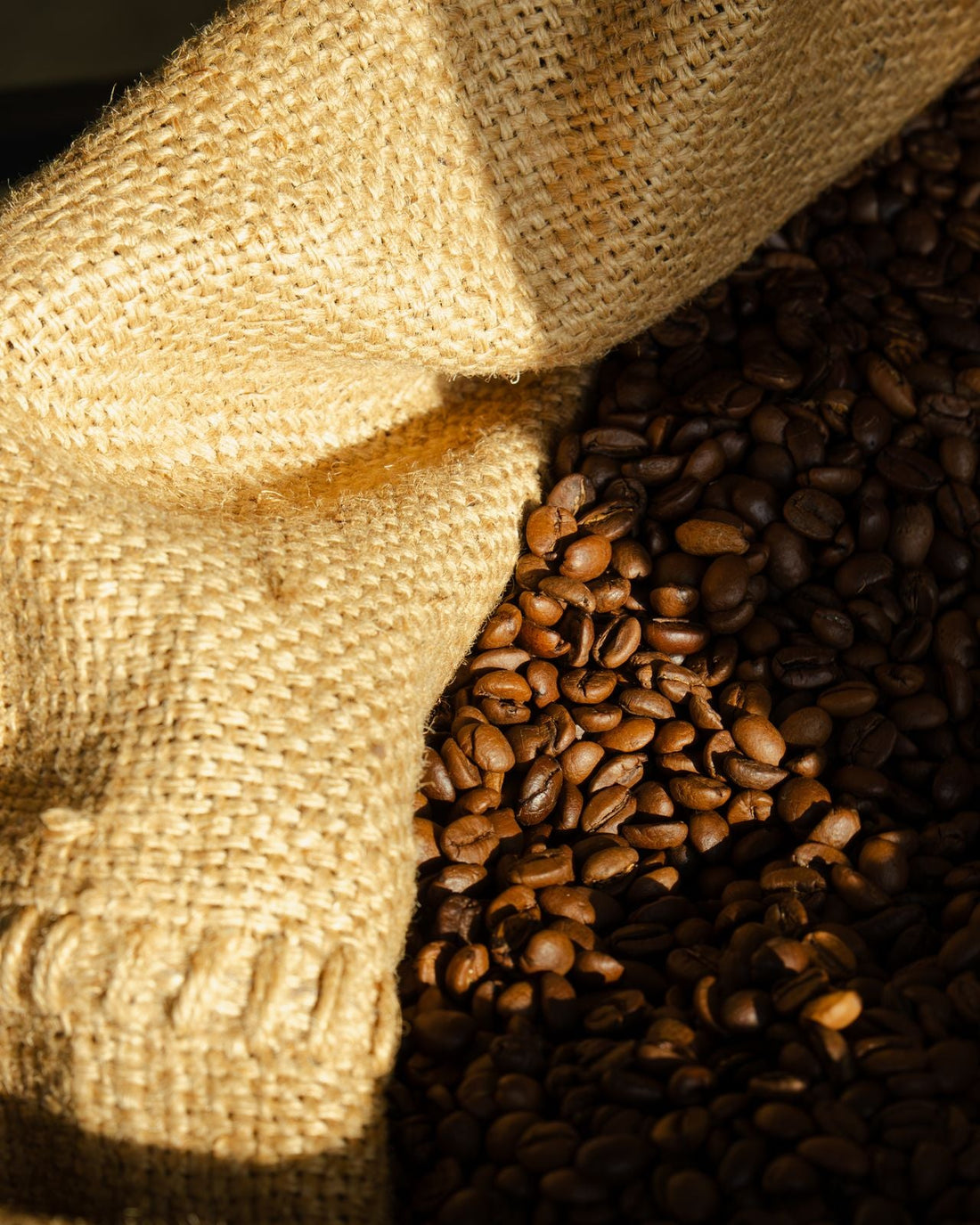 Frescura e data de torra: porque importam no café